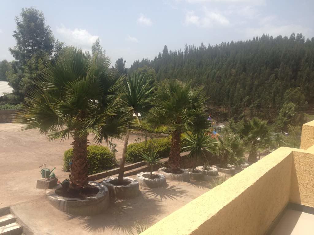 Desē Joamla Hotel מראה חיצוני תמונה